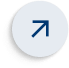 Icon 11